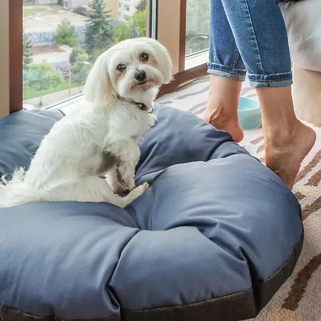 Doubletree By Hilton ברטיסלאבה