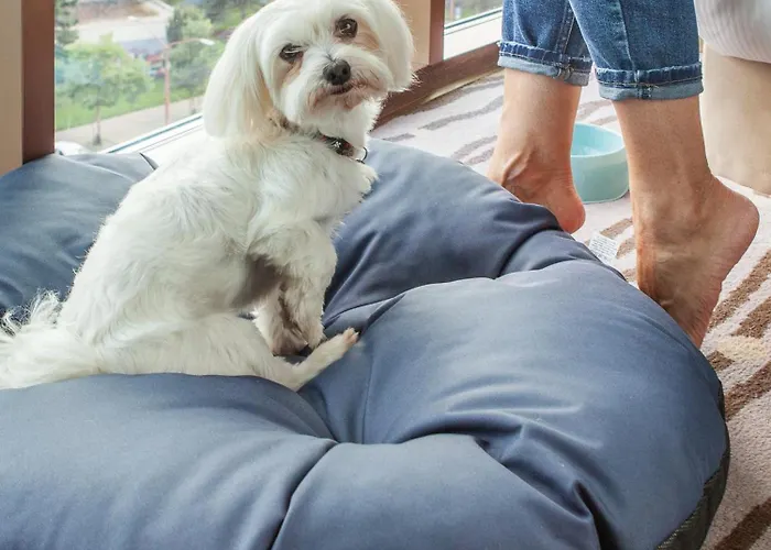 Doubletree By Hilton Bratislava